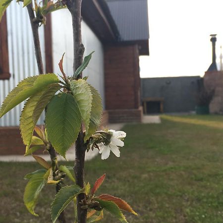 Casa Patagonica Los Frutales El Calafate Dış mekan fotoğraf