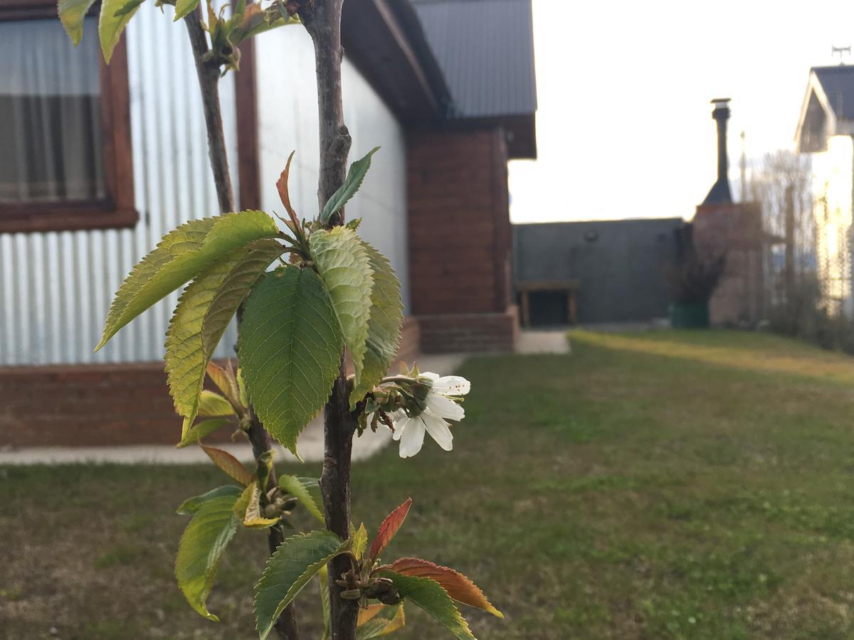 Casa Patagonica Los Frutales El Calafate Dış mekan fotoğraf