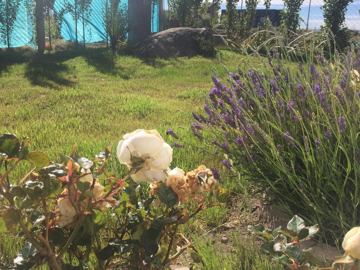 Casa Patagonica Los Frutales El Calafate Dış mekan fotoğraf